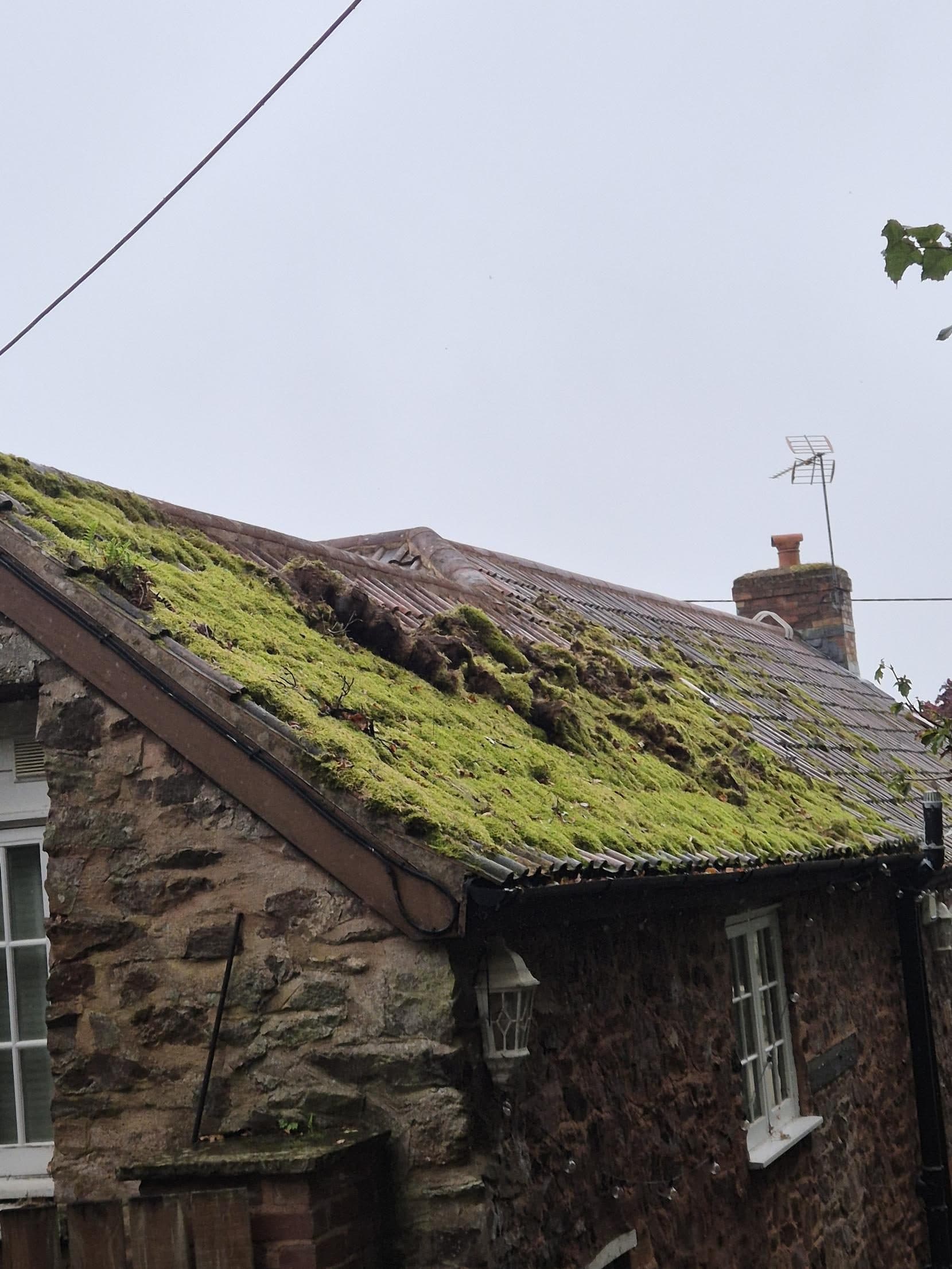Cottage roof covered in thick moss before cleaning