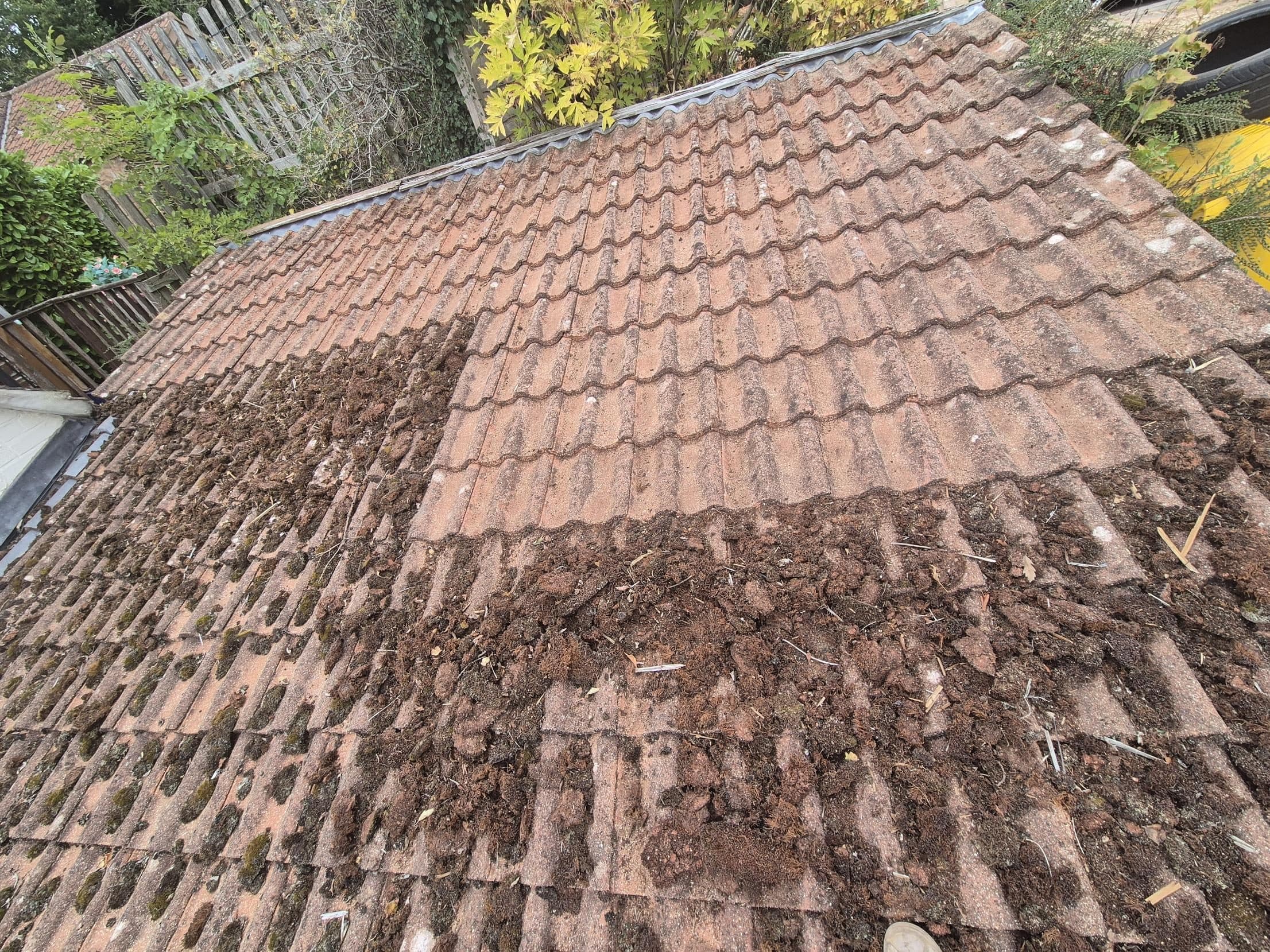 Tiled roof part-way through moss removal, cleaned tiles beside mossy ones