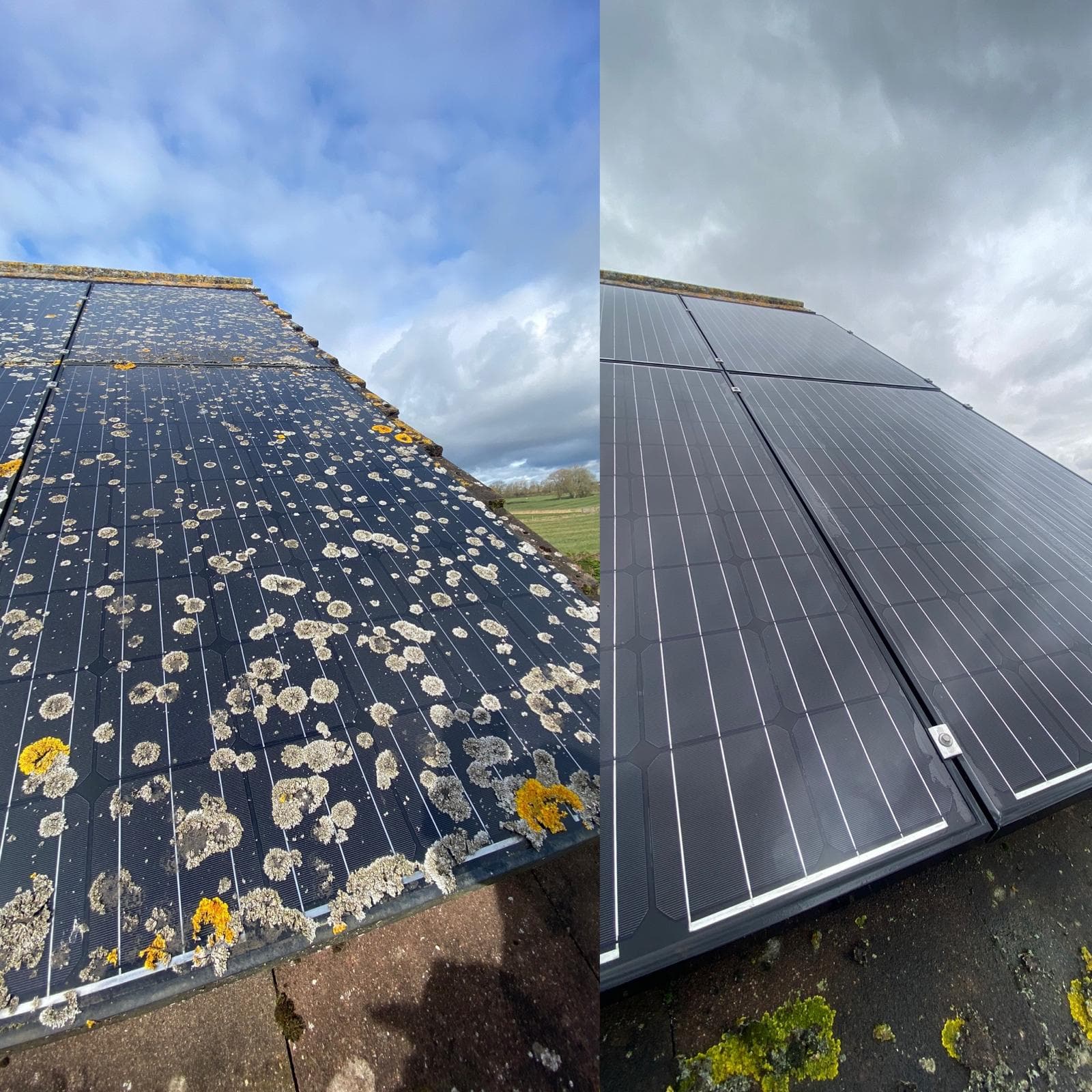 image of solar panels cleaned before and after